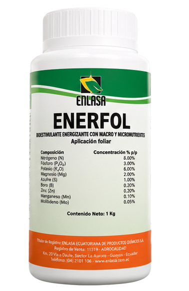 Enerfol